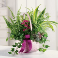 Garden Basket